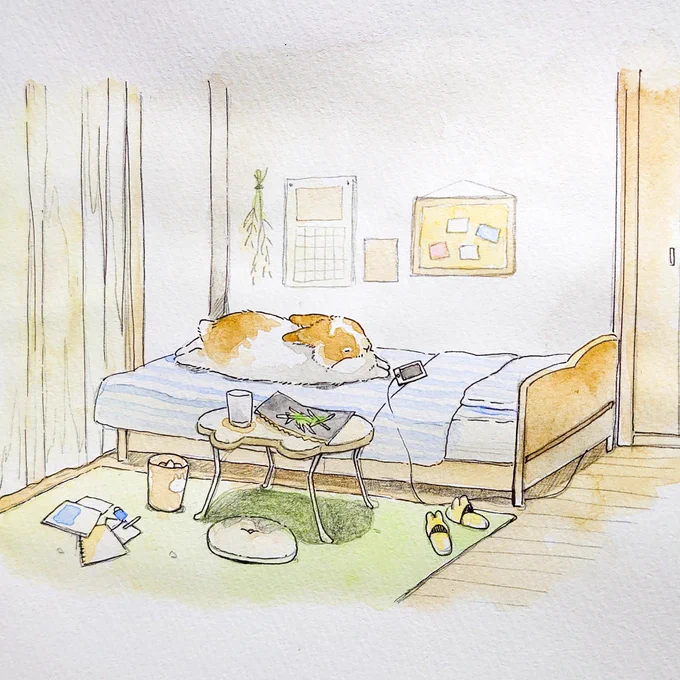 ◯ はじめての一人暮し ◯

…ねちゃった 