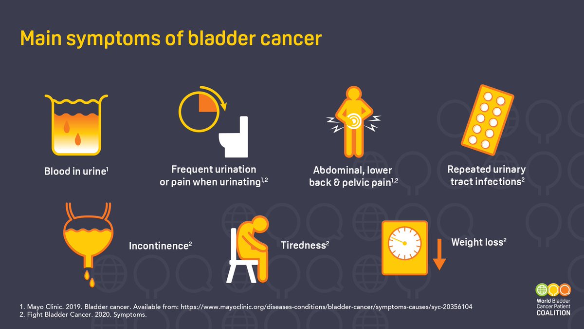 World Bladder Cancer Patient Coalition tweet media