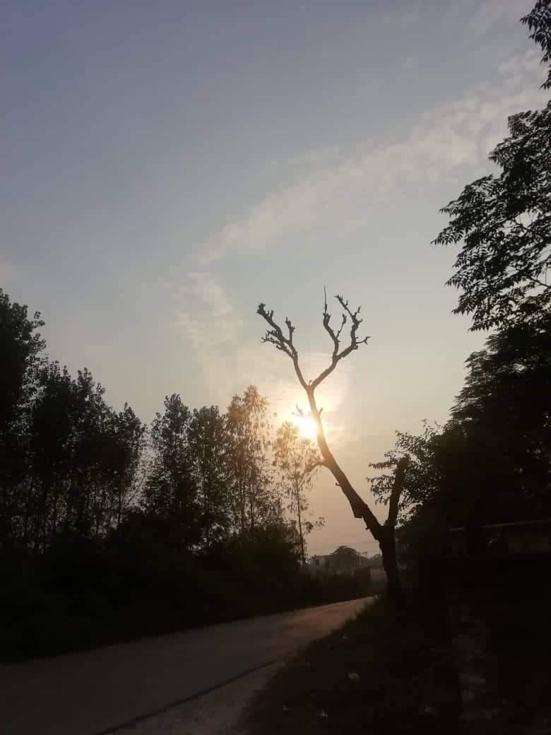 PAULzdrive's tweet image. #paulz #paulography