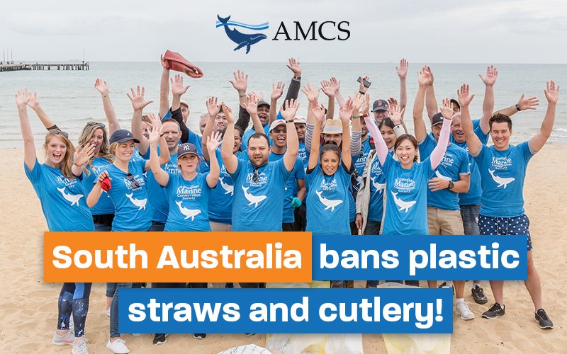 Australian Marine Conservation Society tweet media