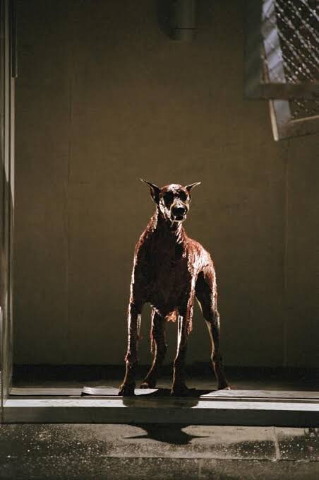映画バイオハザード 犬の犬種や名前は トラウマ級怖いゲーム版ゾンビ犬についても Shokichiのエンタメ情報labo