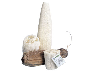 Estilo_Bio's tweet photo. ¿Conoces la esponja vegetal de lufa? 100% natural, es ideal para renovar la piel después del verano, exfolia la piel eliminando las células muertas, vigoriza y ayuda a eliminar la celulitis 🛀
👉🏻 https://t.co/HeEIfnBG0L https://t.co/yGo8191fvi