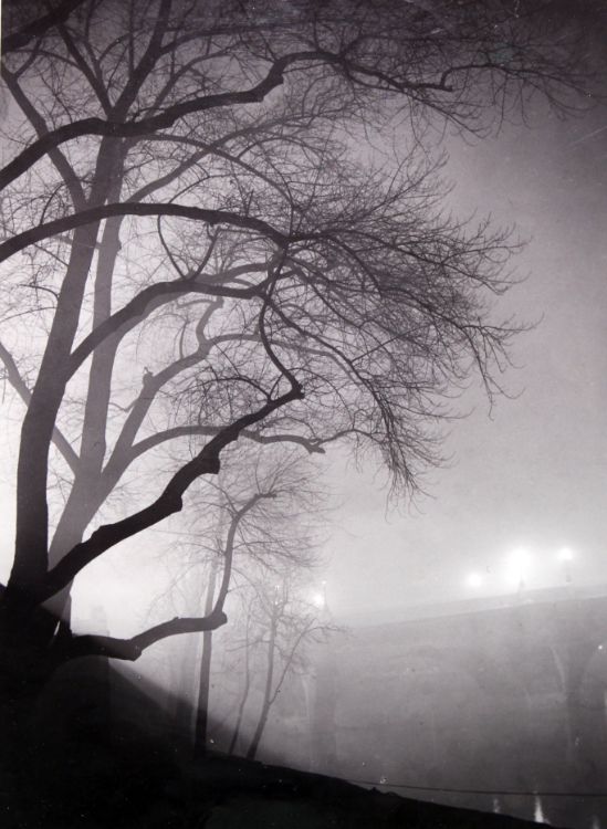 Brassaï achieved international fame in his lifetime – his first exhibition in the USA was at  @MuseumModernArt New York in 1948.