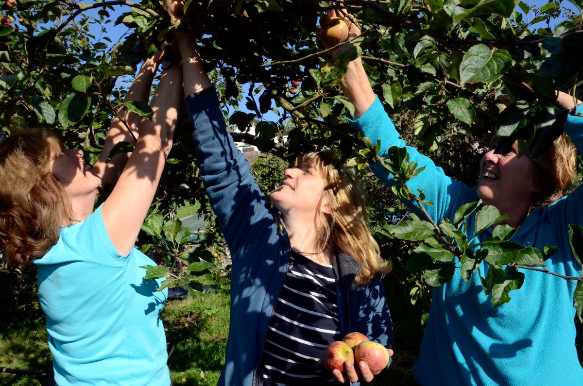 We're pressing apples to make juice at the end of the month. 
If you have apples you can bring them to us in return for bottles of freshly presssed juice. 
Every 2 kilos of apples we receive will give you one 750ml bottle of juice.
