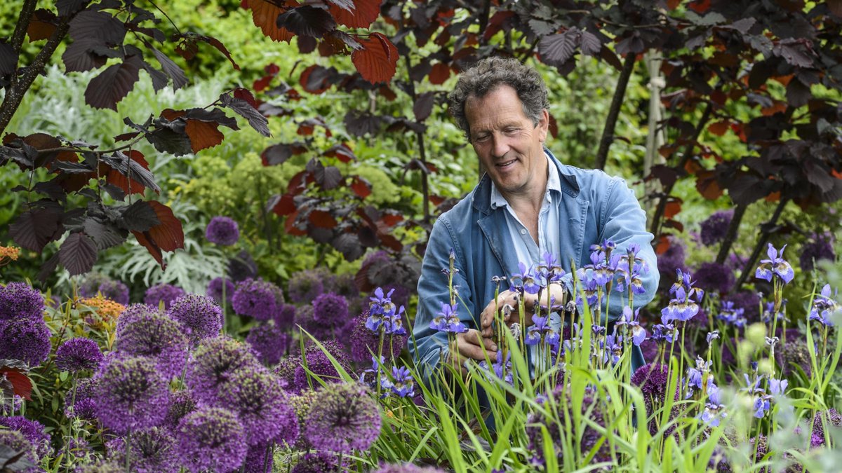 GWmag's tweet photo. Want a lot of colour for only a little effort? @TheMontyDon reveals how just a few moments in your garden now will guarantee flowers next spring, in the September issue of BBC Gardeners’ World Magazine. In shops now or buy online at: https://t.co/DqL7r2HGWM https://t.co/Shf95gitl3