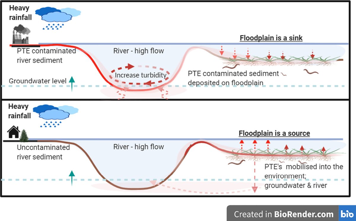 tomsizmur's tweet photo. Floodplains which were traditionally considered a sink of metals may now become a source of legacy pollution to the surrounding environment if  mobilised by flooding events. We review the mechanisms mediating solubility.
Free access for 50 days: https://t.co/7SMfGI61I1 https://t.co/nbXizrKM3z