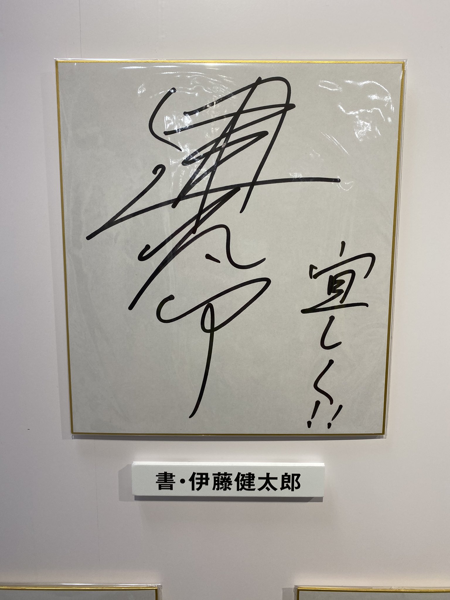 ゆっこ（YUKIKO・YOSHIOKA） on X: 