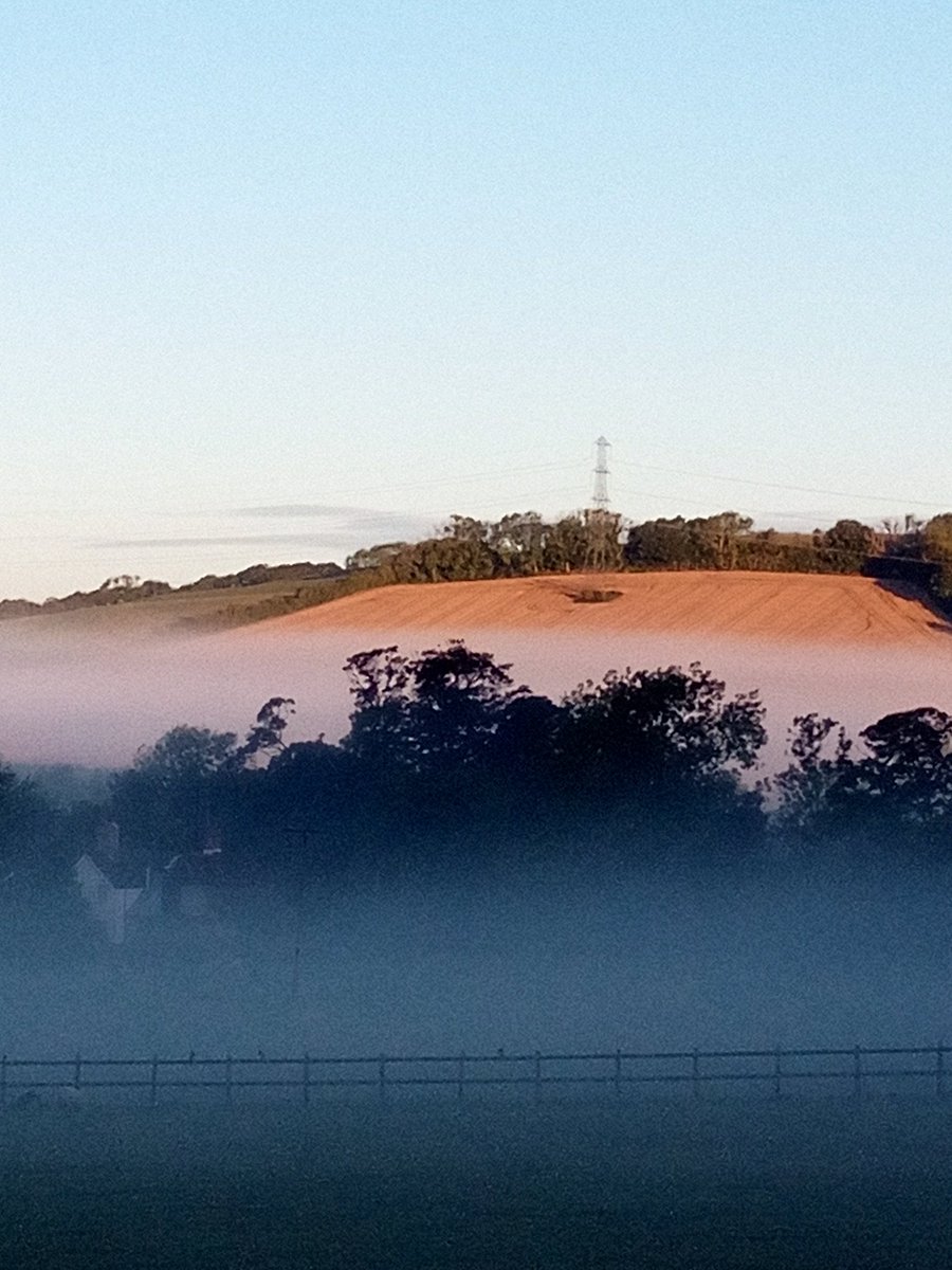 Pretty morning walking up to seeing coulds in the horizon 💐