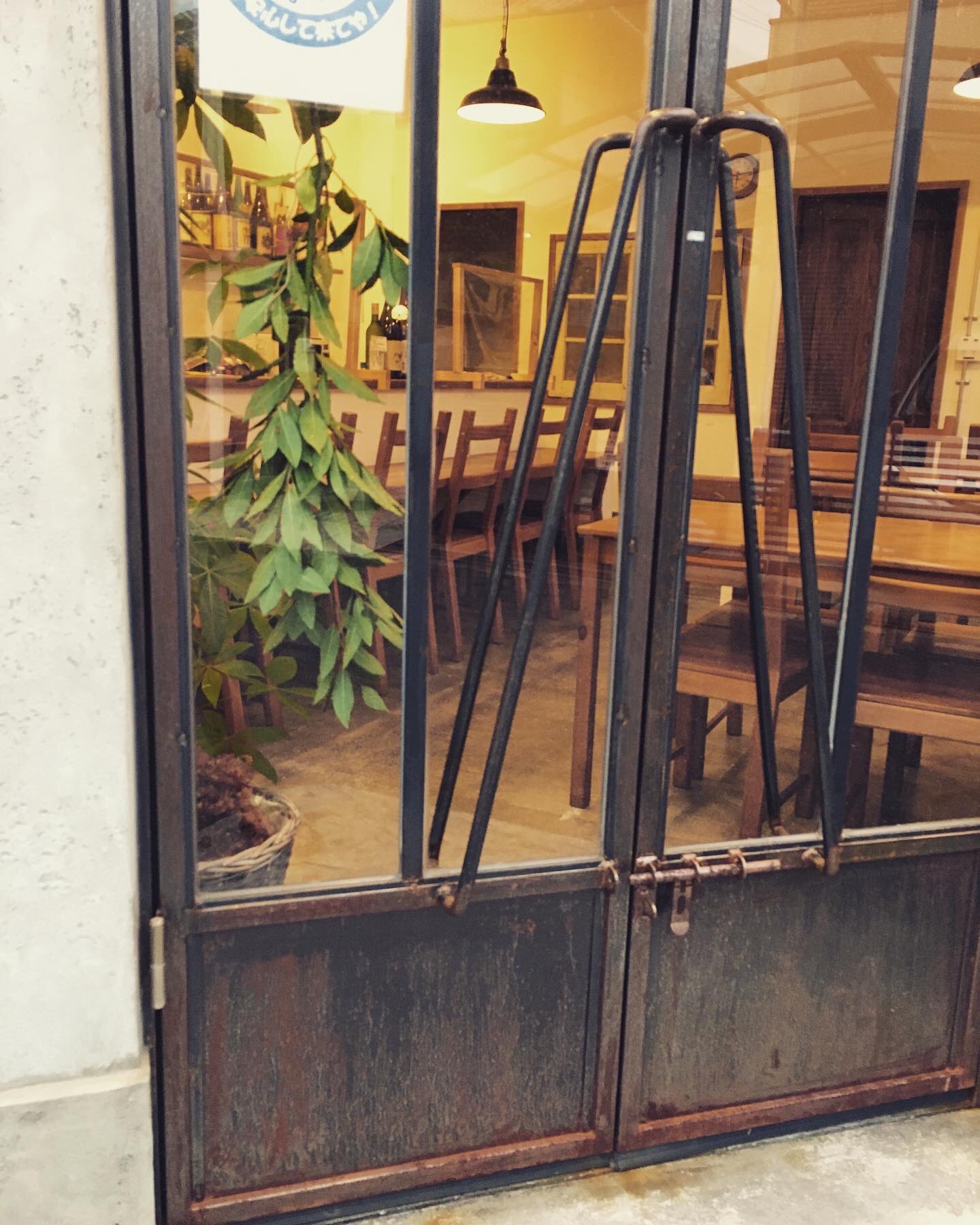 Fill Inn きれいな月桂樹 の枝が手に入ったので お店に吊るしています 乾燥させると あのローリエになるんです カレーや煮込み料理に使えますので 葉っぱをちぎってぜひご自由にお持ちください 乾燥させる前もとてもいいにおいですよ T Co