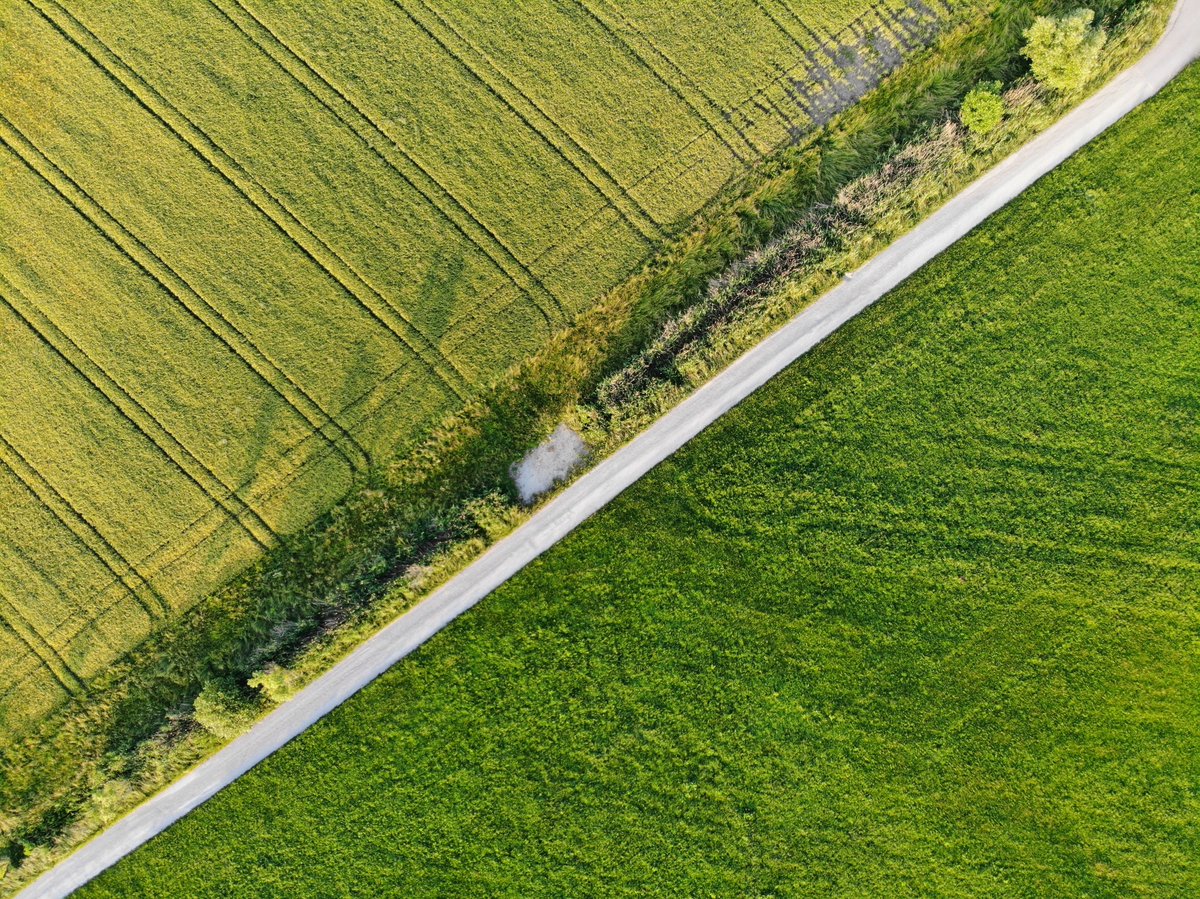 ManonGuignard's tweet photo. Go Green ++ with @UberFR : 50% de véhicules électriques sur l’appli d’ici 2025 en France 💚
 https://t.co/6sdcDuqSCF https://t.co/sRrGCsyf5P