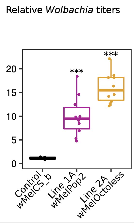 lmvteixeira's tweet photo. New preprint: @ehelegam did a forward genetic screen for over-proliferating Wolbachia. One mutant, wMelPop2, has an amplification of the Octomom region. Another mutant, wMelOctoless, a deletion of this same region. with @AnaSimaoC @lopezmadrigals. https://t.co/iu98KWOcCd https://t.co/5XOtF987Zh