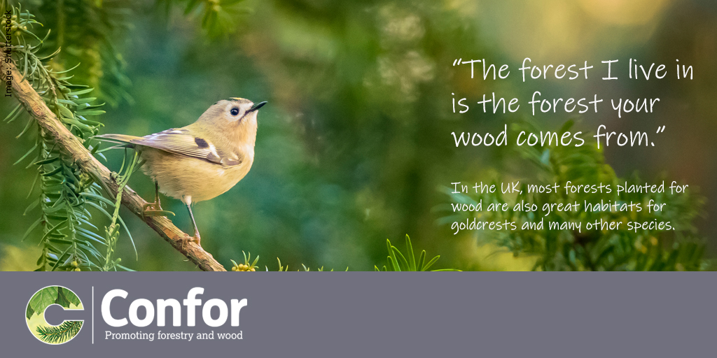 forestsandwood's tweet photo. Challenge your perception. In UK forestry, producing wood and providing habitats for wildlife is not an either-or.
Want to know more? https://t.co/tnXtASe2vV
#diverseforests #TheFutureIsForestry #biodiversity #ThinkGlobalPlantLocal https://t.co/U1Y88q4wdg