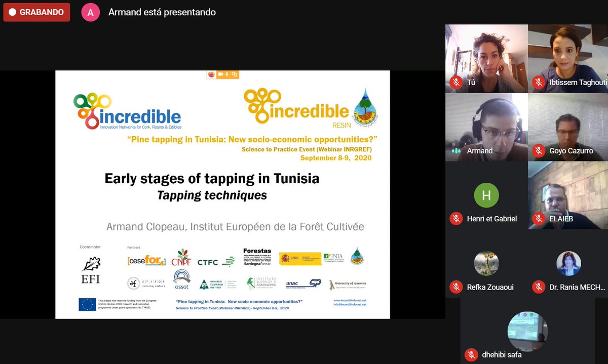 Incredibforest's tweet image. Currently it is holding the second session of our Science to Practice event &apos;Pine tapping in Tunisia: New socio-economic opportunities?&apos; #NWFP #SharingKnowledge #SharingBestPractices #Resin