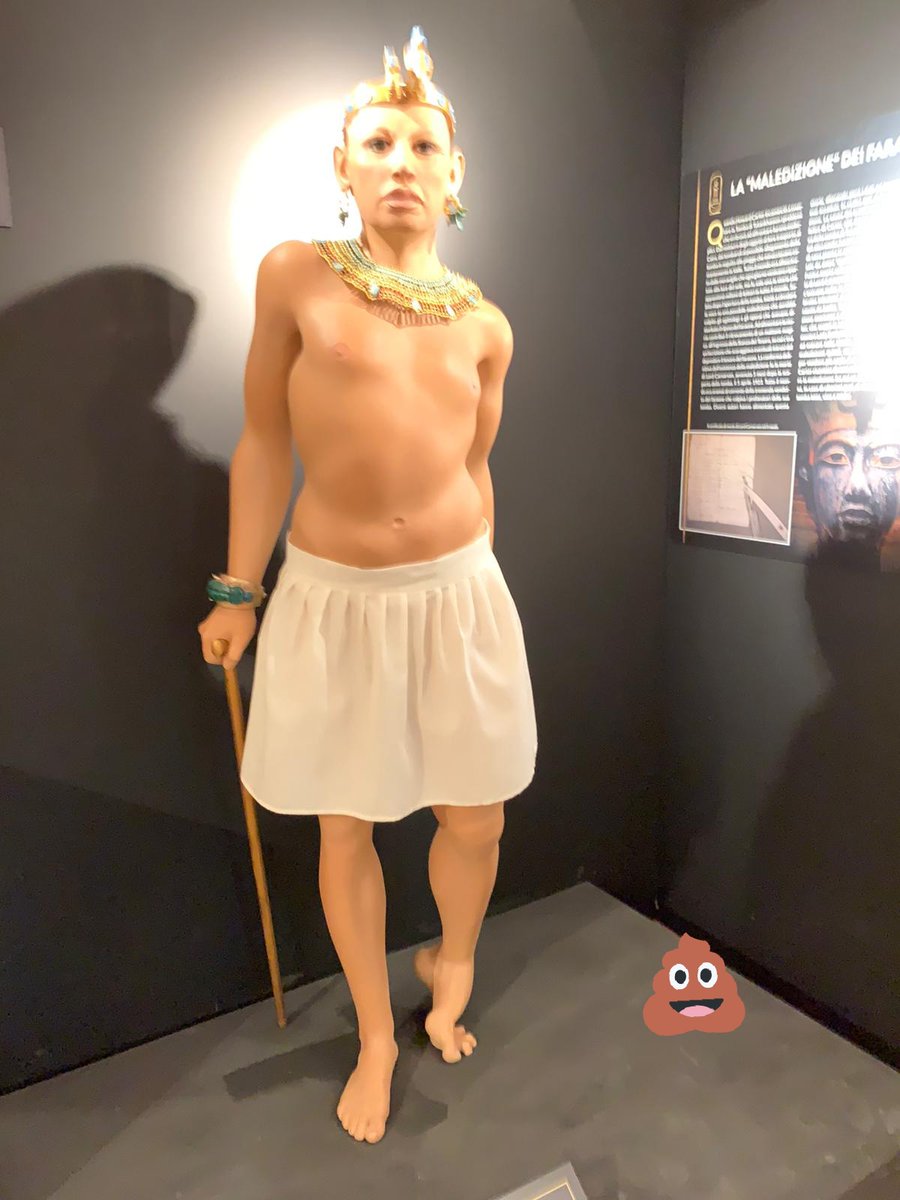 Tasheryt's tweet photo. My life sucks like this... thing
#egyptologystcrisis https://t.co/WdaSfqmEoe