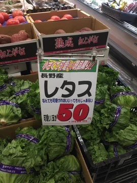 画像 / Picture