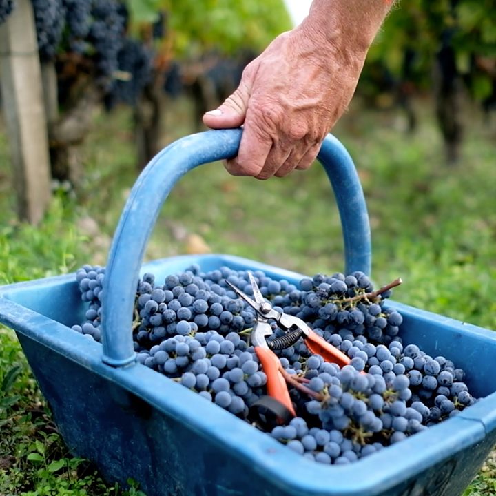 CAAV Vallée du Rhône tweet media