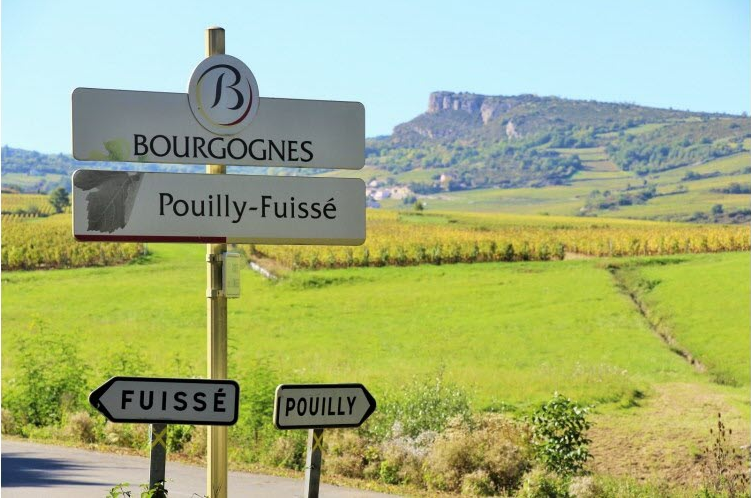 Prefet71's tweet photo. 🗞️ Revue de presse
Bonne nouvelle pour les viticulteurs du Mâconnais : « Des vins "pouilly-fuissé 1er cru" : c’est officiel »🍇
Pour plus d’informations 👉  https://t.co/gdyMBE1SUL https://t.co/DEKzLw42u2