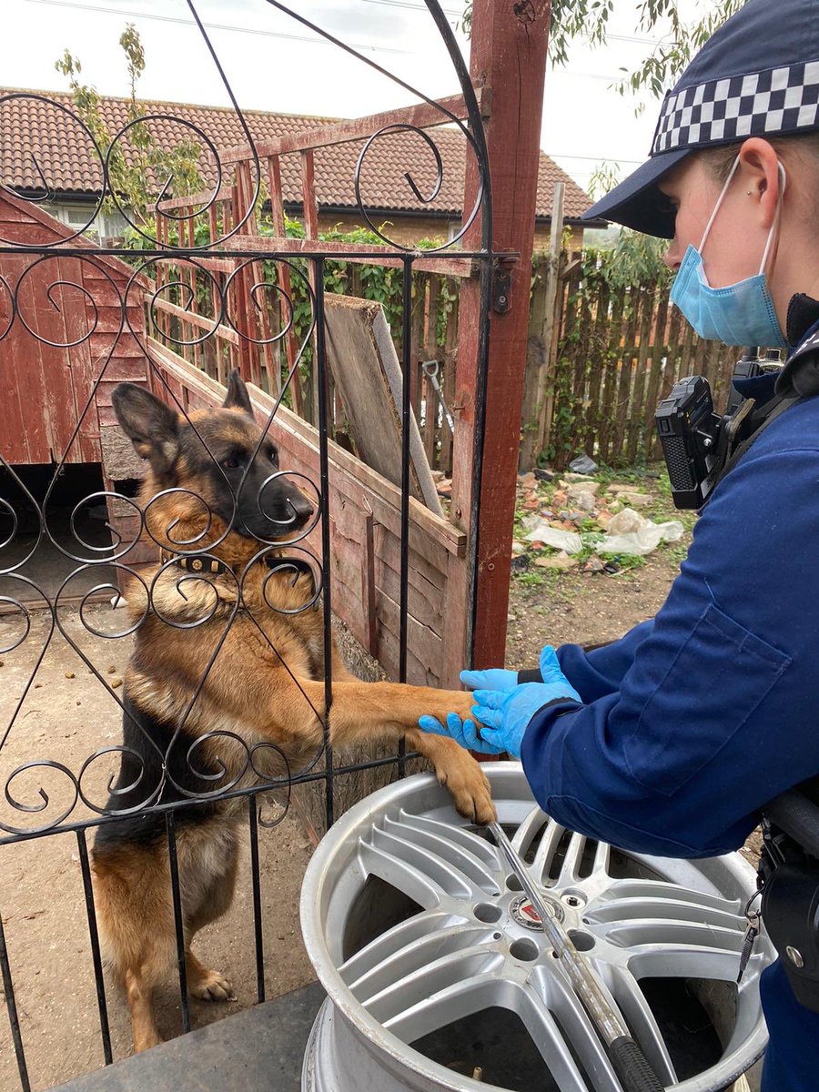 MPSWForest's tweet photo. 5 people arrested for being concerned in the supply of Class A drugs and money laundering in #Walthamstow.
Dog and endangered bird taken into protection. Investigation ongoing for animal cruelty.
#TaskingTeam. @RSPCA_official https://t.co/3s8rX24WuD