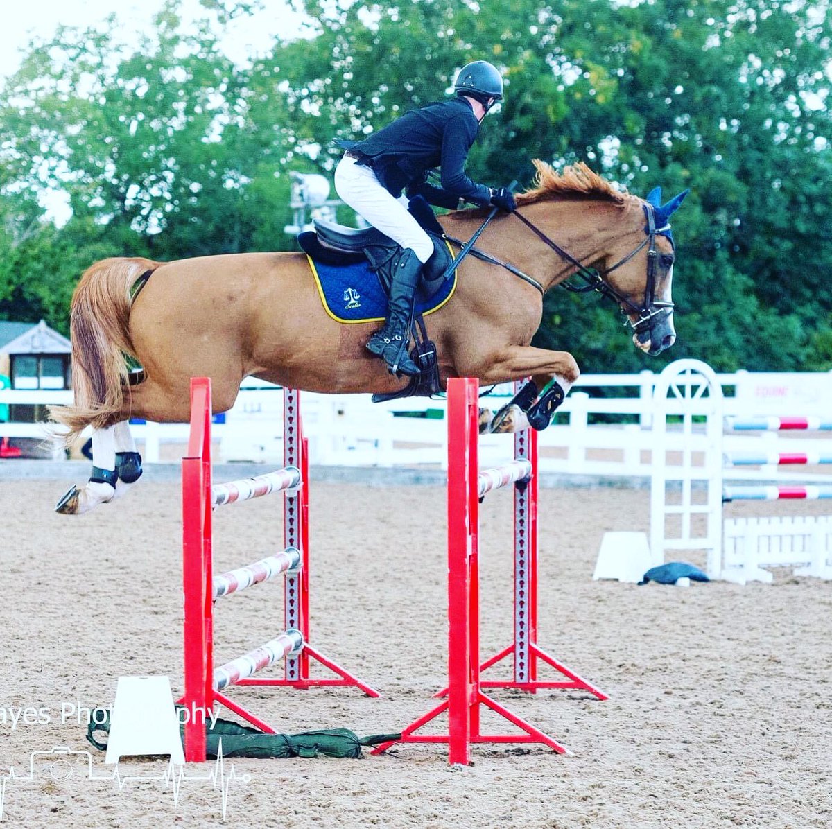 jj_scales's tweet photo. Our sponsored rider jumping at the weekend, sporting the winning colours for a 1st at @chardequestrian #britishshowjumping #horsesofinstagram #weighingsolutions #theweighforward https://t.co/TX0Vxcx6ov