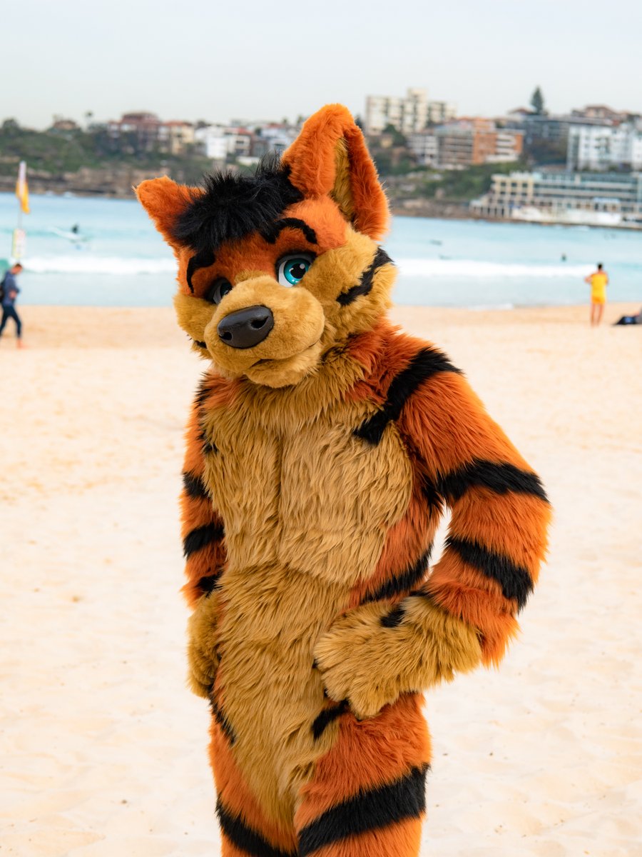 ddocandtheta's tweet photo. More glamour shots from #HCFC2019 Although, I really need to come up with some more inventive poses than "hands on hips" or "arms outstretched" 😅

#fursuit by @Onefurallstudio 
Photos by @Captain_Otter 
#furry #OFAWednesday #OneFurAllWednesday https://t.co/mbtENqcB5v
