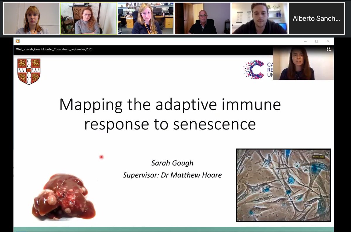 HCC_HUNTER's tweet photo. Excellent presentations this morning from some of our #hcchunter Young Investigators, from Southampton to Glasgow and in between! @CRUKresearch #HCC #LiverTwitter #Research #LiverCancer https://t.co/xxtWwfKzh2