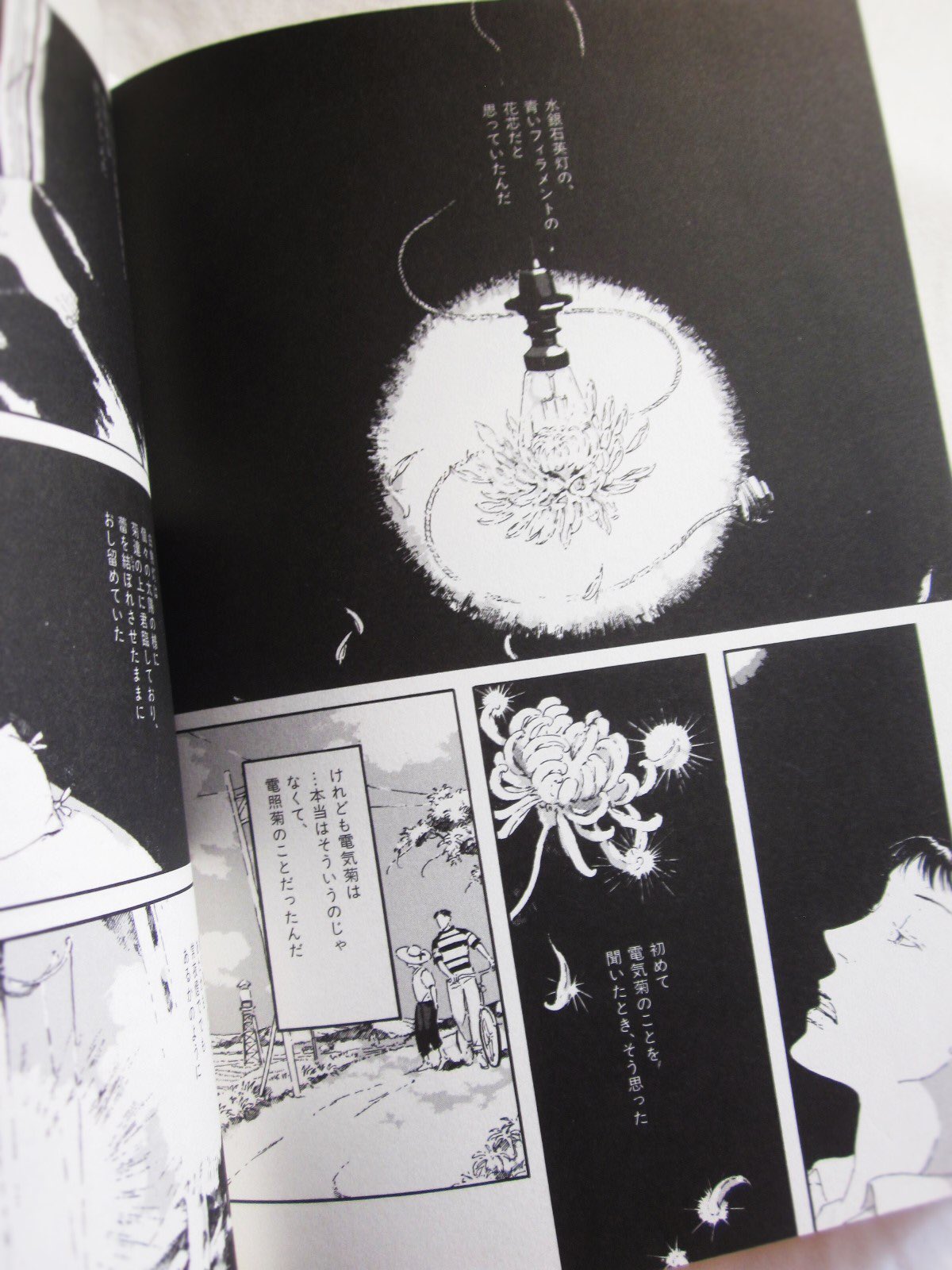鳩山郁子　豆本と、サイン入りCAMERA Ｄａｙｓのフィル厶、（上箱無し）ら２個 鳩山郁子 豆本と、サイン入りCAMERA Daysのフィル厶、（上箱
