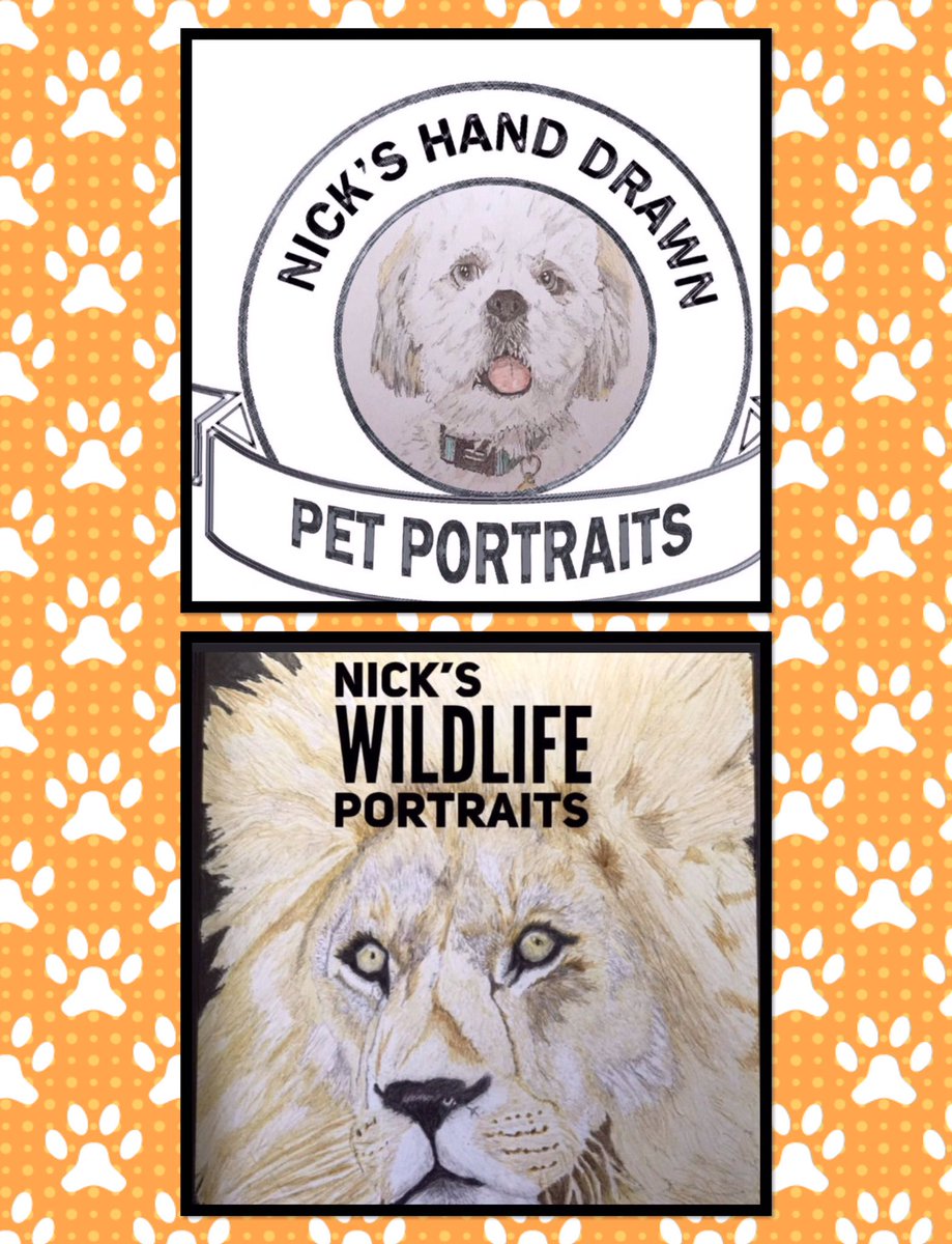 hand_pet's tweet photo. I have two websites you can visit, please take a look and if you have any questions don’t hesitate to contact me,email details below or PM me. 

nickspetportraits13@outlook.com

https://t.co/Og8pr6GrK6

nickswildlifeportraits13@outlook.com

https://t.co/EdYn5KzQpX https://t.co/QM55romWho