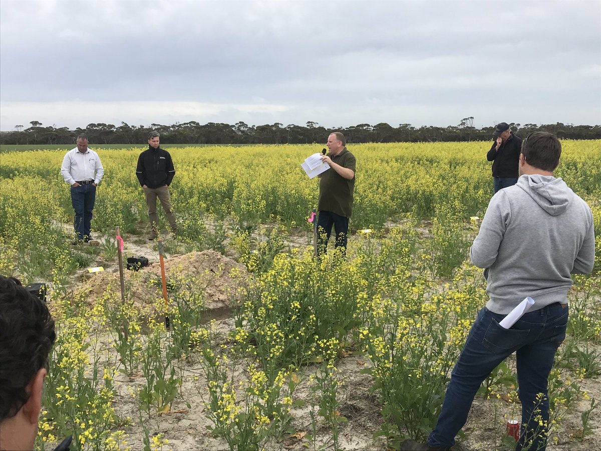 farmersgrowit's tweet image. First Southern crop walk  @ag_eyre  . Relevant topics, great speakers and good support.