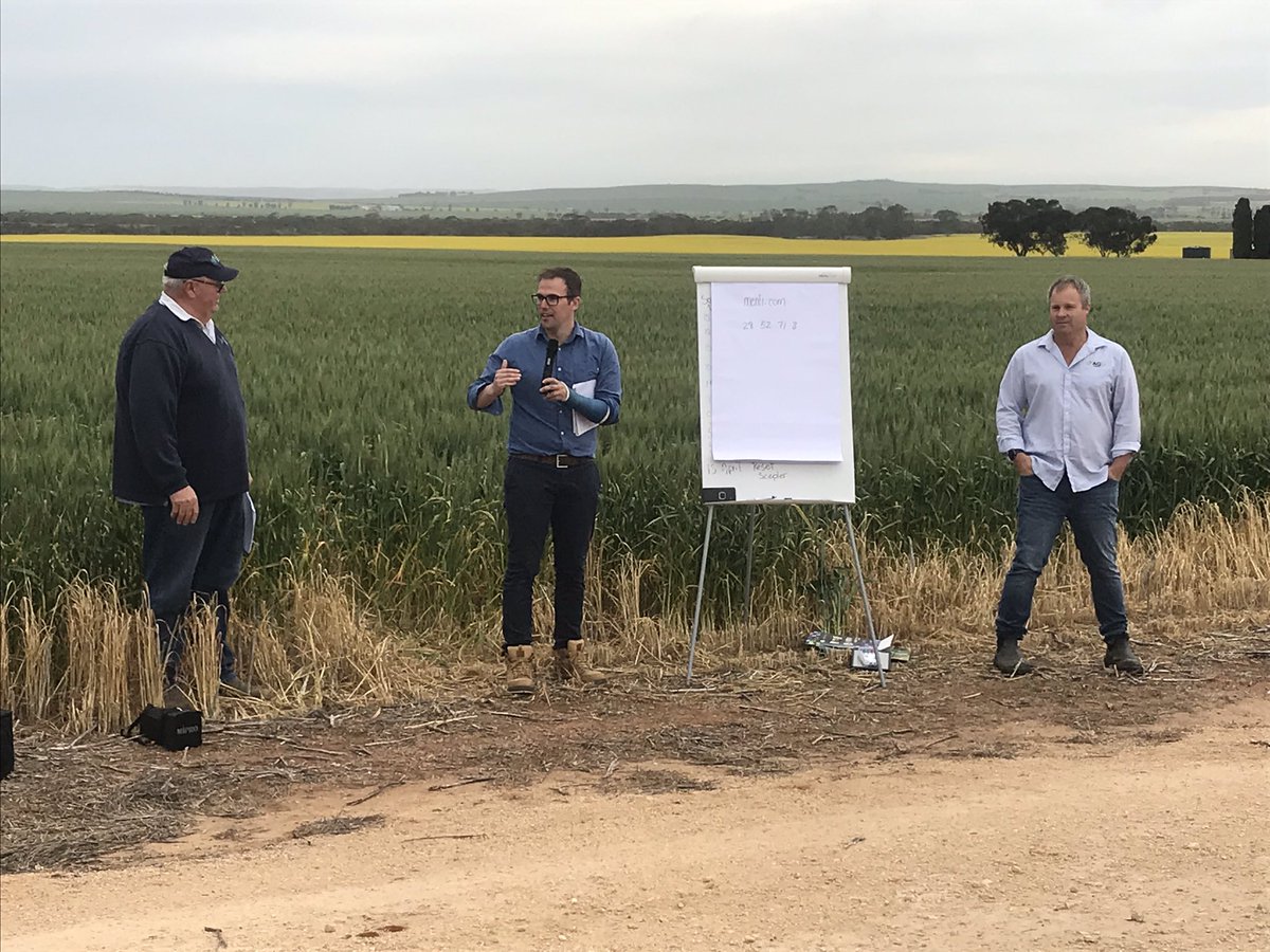 farmersgrowit's tweet image. First Southern crop walk  @ag_eyre  . Relevant topics, great speakers and good support.