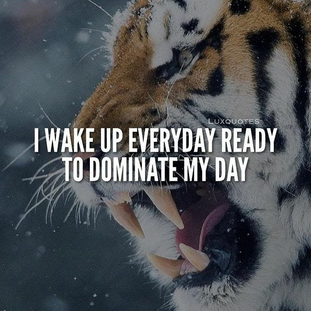ChaneyCoaching's tweet photo. #5amwritersclub #WritingCommunity #CreateTogether #SuccessIsMyOnlyOption #FocusOnWhatMatters https://t.co/HiTlr5ObgU
