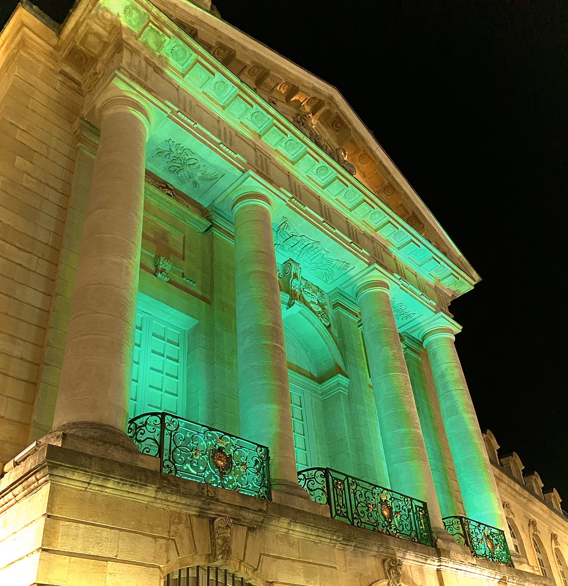 #DijonCapitaleVerte | Hier soir, à 1 mois de la désignation de la Capitale Verte Européenne 2022, concours pour lequel @Dijon est finaliste, le Palais des Ducs de Bourgogne s’illuminait symboliquement en vert pour marquer l’engagement des dijonnais face à l’urgence climatique 💚