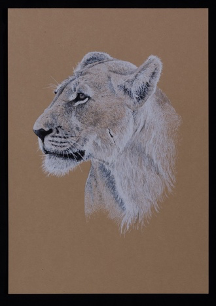 Tweed_Media's tweet photo. Our client, London gunmaker @JohnRigbyandCo. has added four remarkable new limited edition prints to its growing offering of sporting and wildlife art. 
For more information, sizes and pricing, visit: https://t.co/NzJzKuixzA. 
#Tweedbrands #Rigbyart #Limitededition https://t.co/JoqRONLIHp