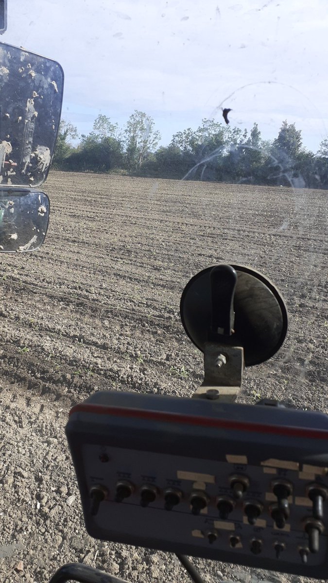 First good day of weather for planting 🙌 #cutflowers #freshproduce #comeath