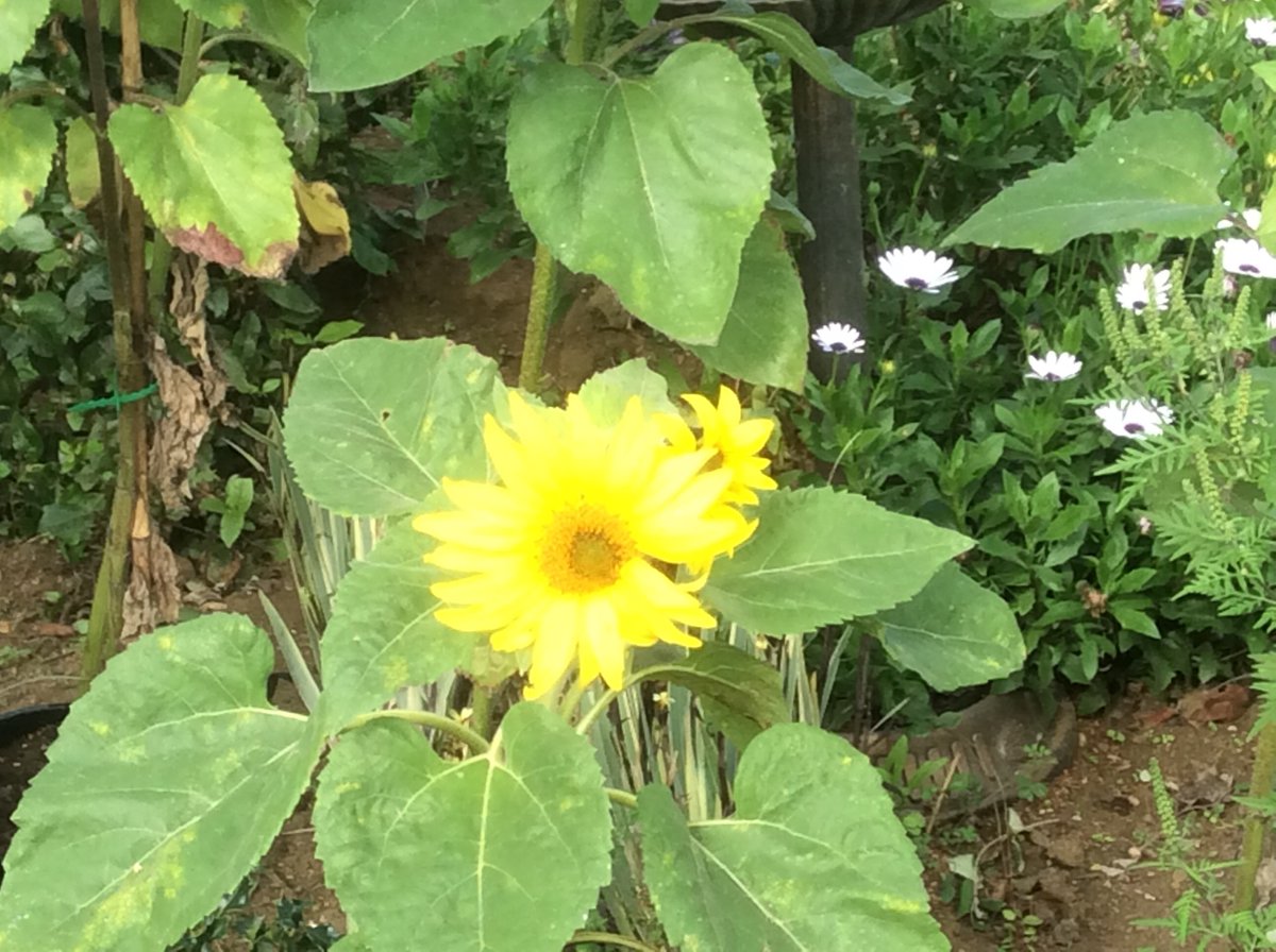 Kerion Hunt tweet media