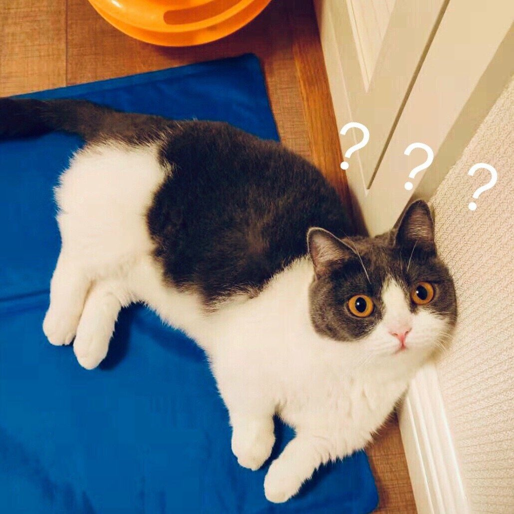 xiaozhan as jianguo: a mini thread