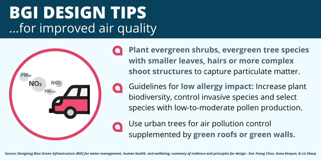 It is becoming increasingly vital for cities to find sustainable ways to improve  #AirQuality. Evergreen shrubs and trees with smaller leaves can capture particulate matter. Choosing plants with low pollen production is also recommended!From the report:  https://northsearegion.eu/media/14560/bgi-and-health-report.pdf