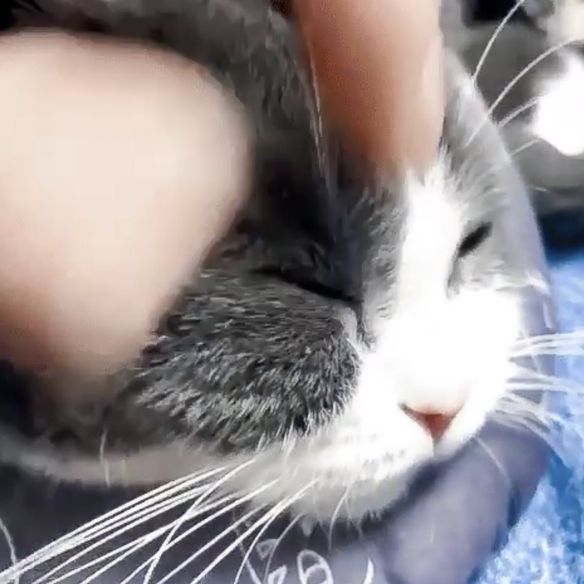 xiaozhan as jianguo: a mini thread