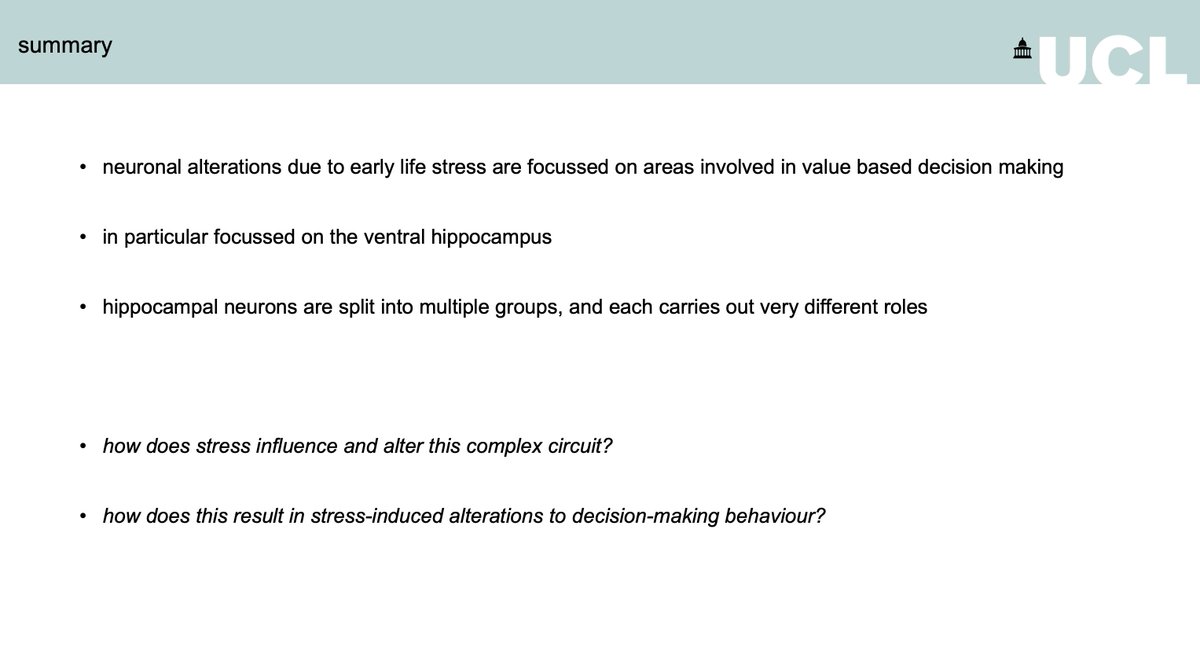 . @MacAskillAF uses "state-of-the-art techniques available in mice to study detailed neuronal circuitry & investigate exactly which neurons in the brain are altered by early life stress, exactly how they are altered, and how these alterations contribute to behaviour  #IoMHconf2020