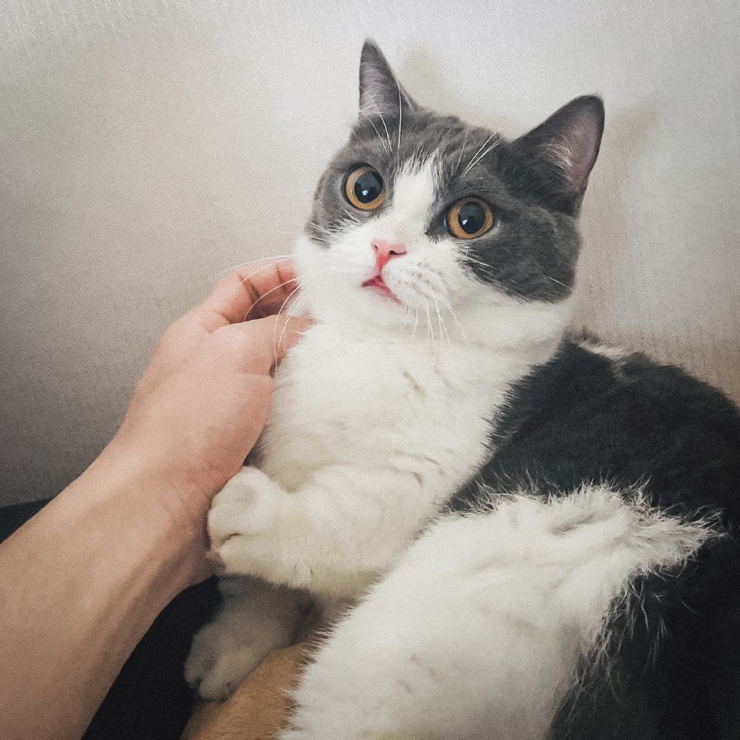 xiaozhan as jianguo: a mini thread