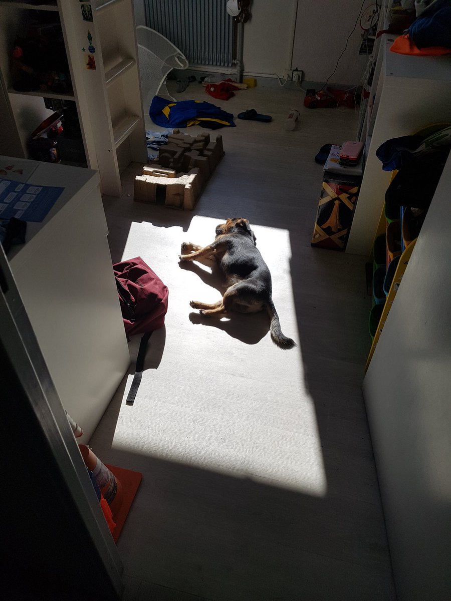 RetroPhilTwit's tweet photo. Mon chien n'a pas besoin de manger : il se recharge au soleil https://t.co/KVauVKpQvy