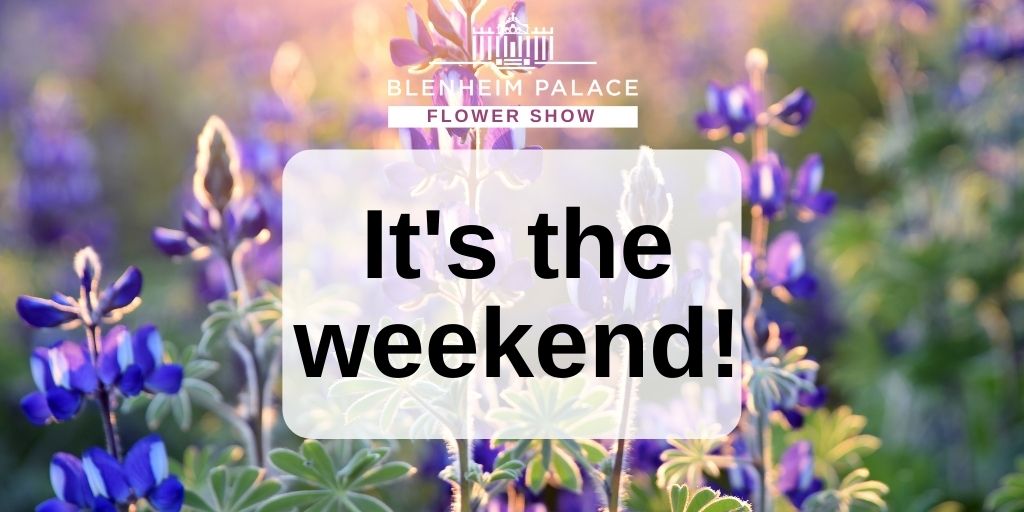 We hope you have a lovely weekend 💕

blenheimflowershow.co.uk #weekend #weekendvibes #saturday #blenheimpalaceflowershow