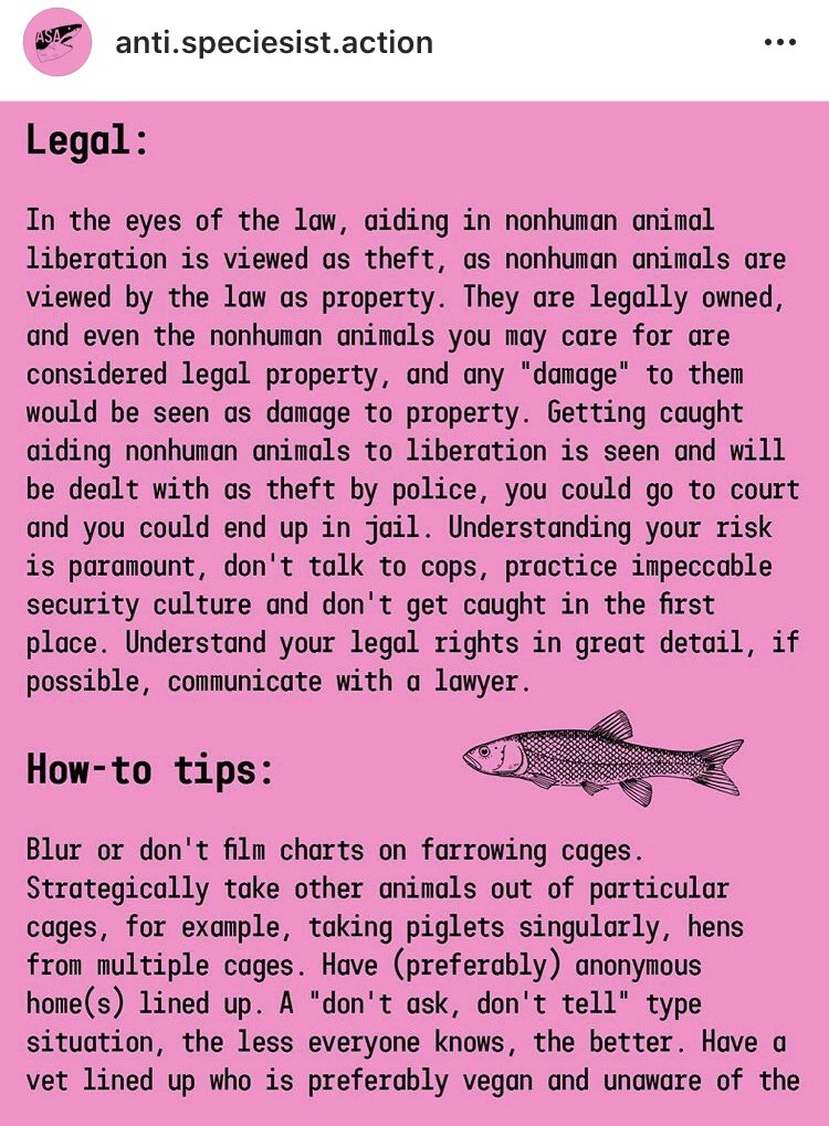 KatePow3ll's tweet photo. An ig account I follow posted this information about liberating non-human animals safely + responsibly 🐷🐮🐣 I thought I’d put it here as they’re not on twitter (1/2)

[I’m not endorsing, condoning or promoting any illegal activity, this share is purely meant to be informative] https://t.co/vawKRgM7sI