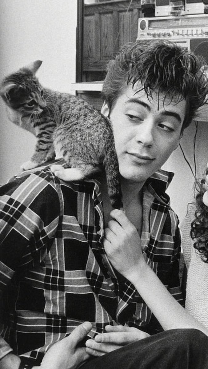 Robert Downey Jr.: yes