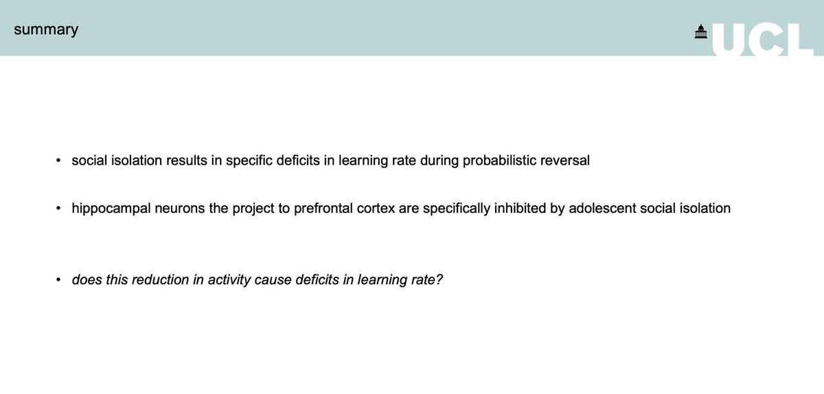 . @MacAskillAF  #IoMHconf2020-social isolation results in specific deficits in learning rate during probabilistic reversal-hippocampal neurons the project to prefrontal cortex are specifically inhibited by adolescent social isolation