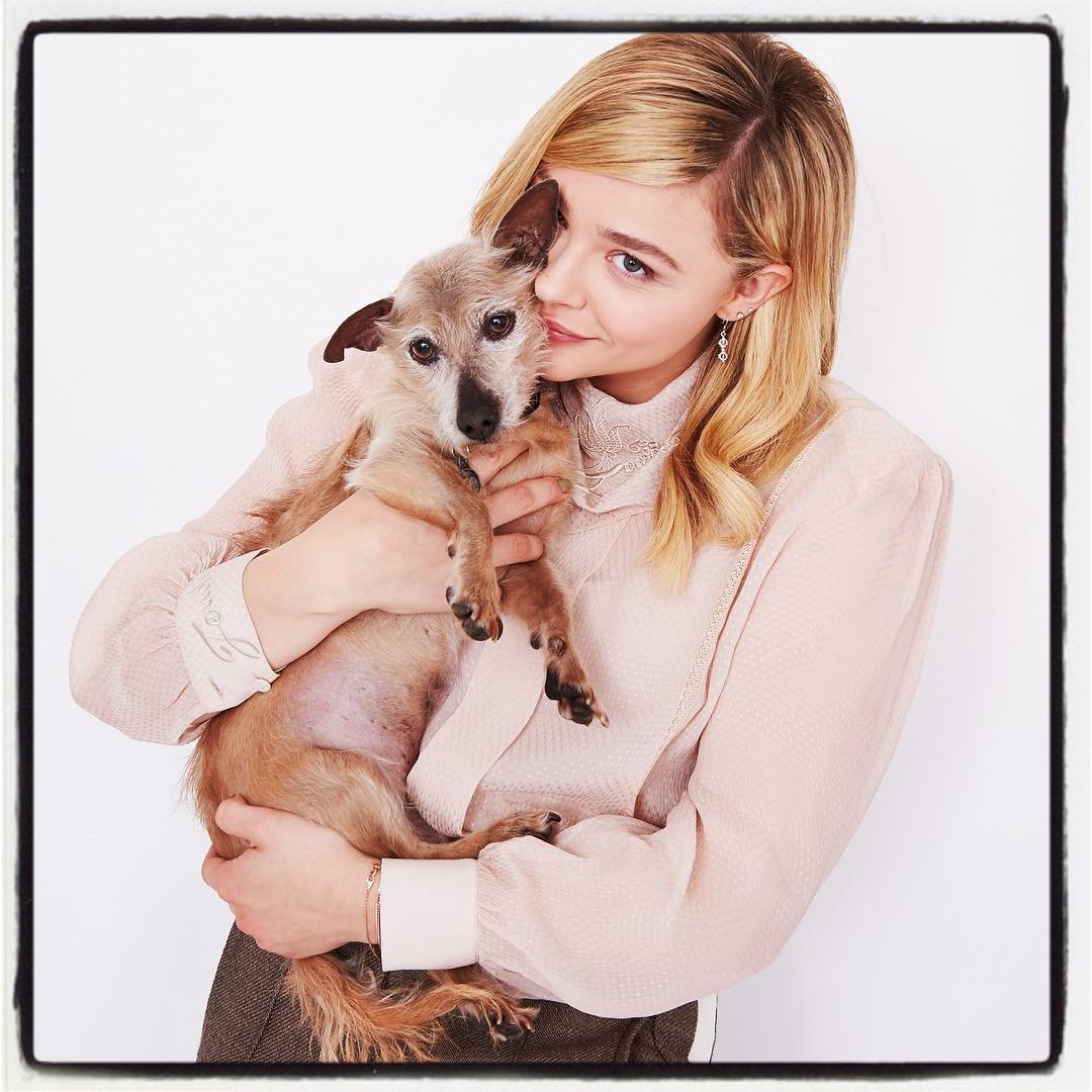 Chloë Grace Moretz Fan / chloegracemoretz.org (@ChloeGMoretzOrg) / X