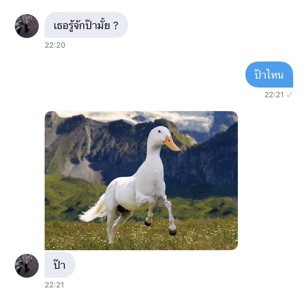 urfavgirlalways's tweet photo. แฟนเล่นมุกแบบนี้ทั้งวันเลย ย้ำว่าทั้งวัน 55555 https://t.co/6Ormy8Lubd
