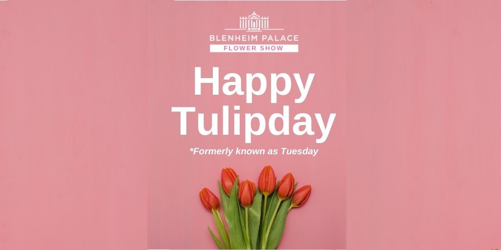 It has a nice ring to it, don't you think? 🌷

blenheimflowershow.co.uk #Tulip #Tulips #TulipDay #TuesdayThoughts