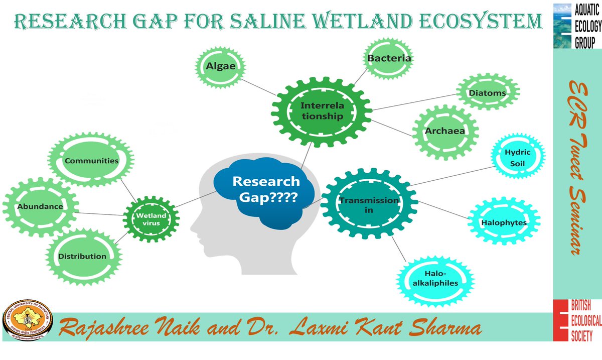 Major #wetland #viral studies conducted for wastewater treatment. But there are many researchgap needed to be addressed by #research community. @BritishEcolSoc @BES_AquaEco @StudentsofSWS #BESaquaticECRTweets #BESAG2020 #ramsar #lakes #saline #StudentHighlight [13/14]