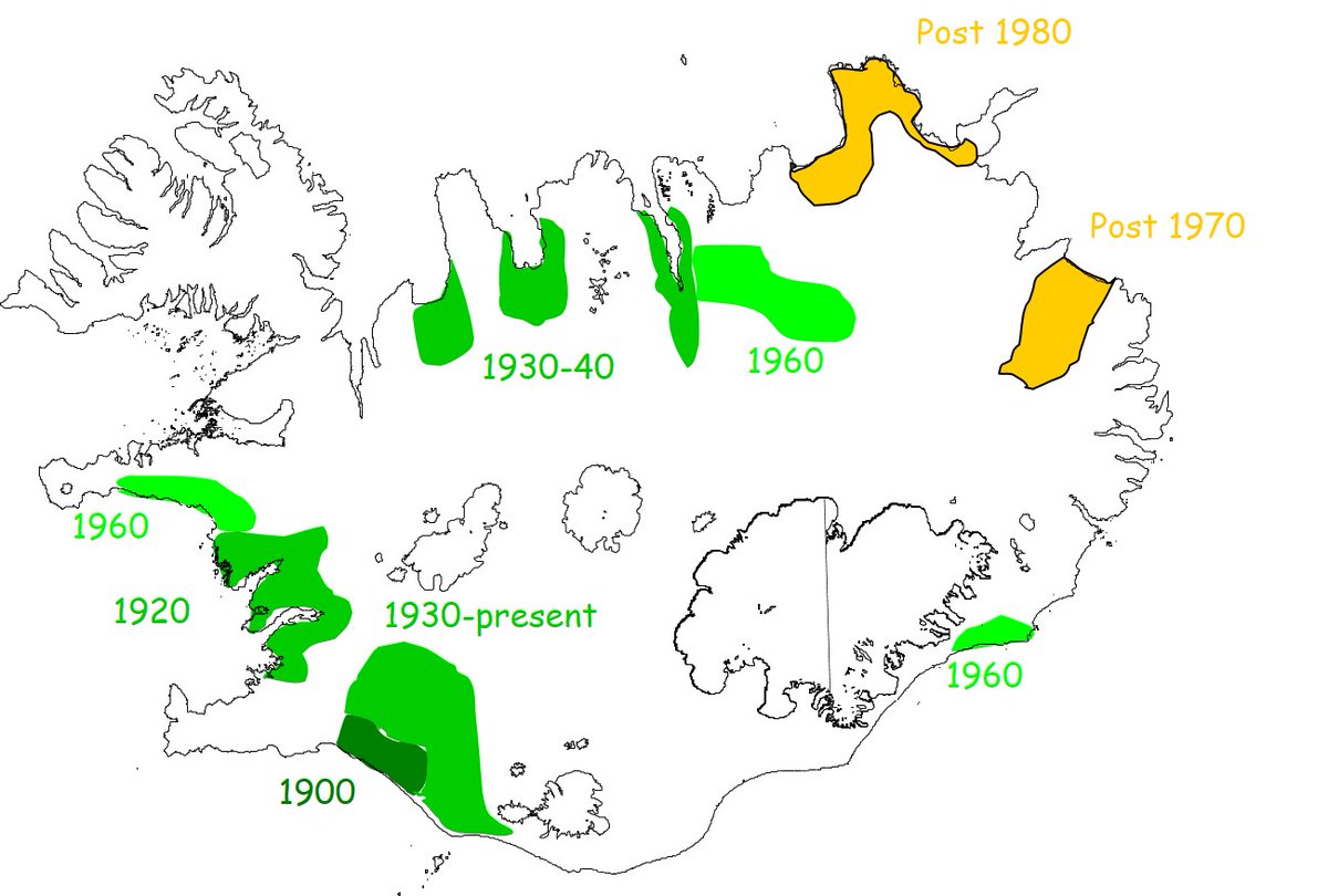 South Iceland is relatively warm. Black-tailed Godwits have spread into other areas of Iceland over last 120 years. How do we know this? https://wadertales.wordpress.com/2015/12/18/black-tailed-godwits-expand-their-range-in-russia-and-iceland/  #waders  #shorebirds  #ornithology