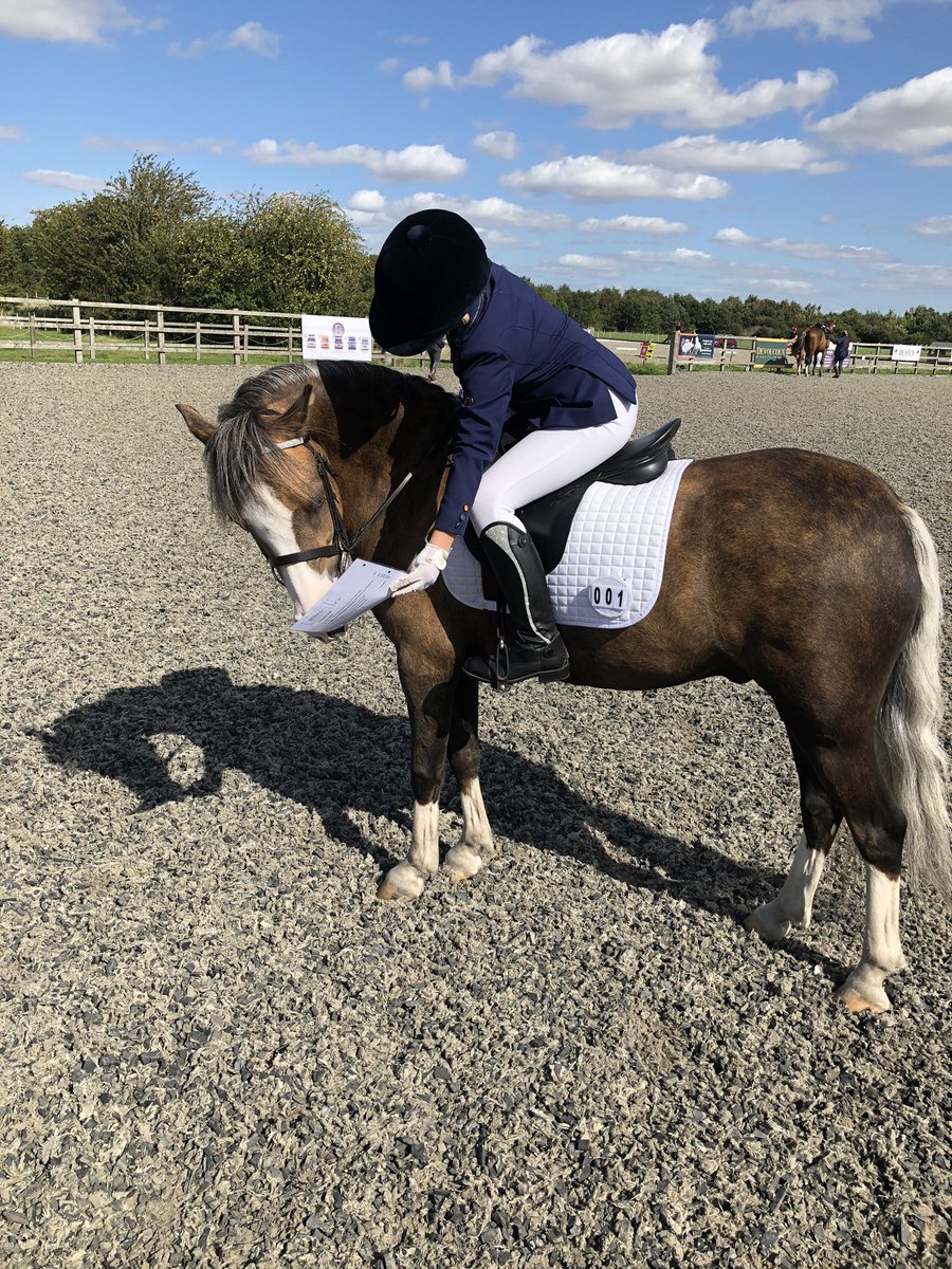 kilattle's tweet photo. Dressage today. Think they have just topped the leaderboard for BD Quest U21 Northern region, Intro. Well done Maisie &amp; Storm. Good going for a 9yr old. @SchoolReedness @britishdressage https://t.co/f3I1H3JYXw